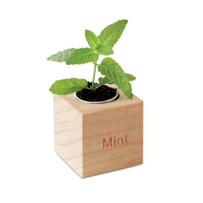 Jardinería menta maceta con semillas de menta de varios materiales para personalizar vista 2