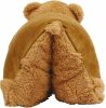 Tyyny-Teddy Bear vetoketjulla